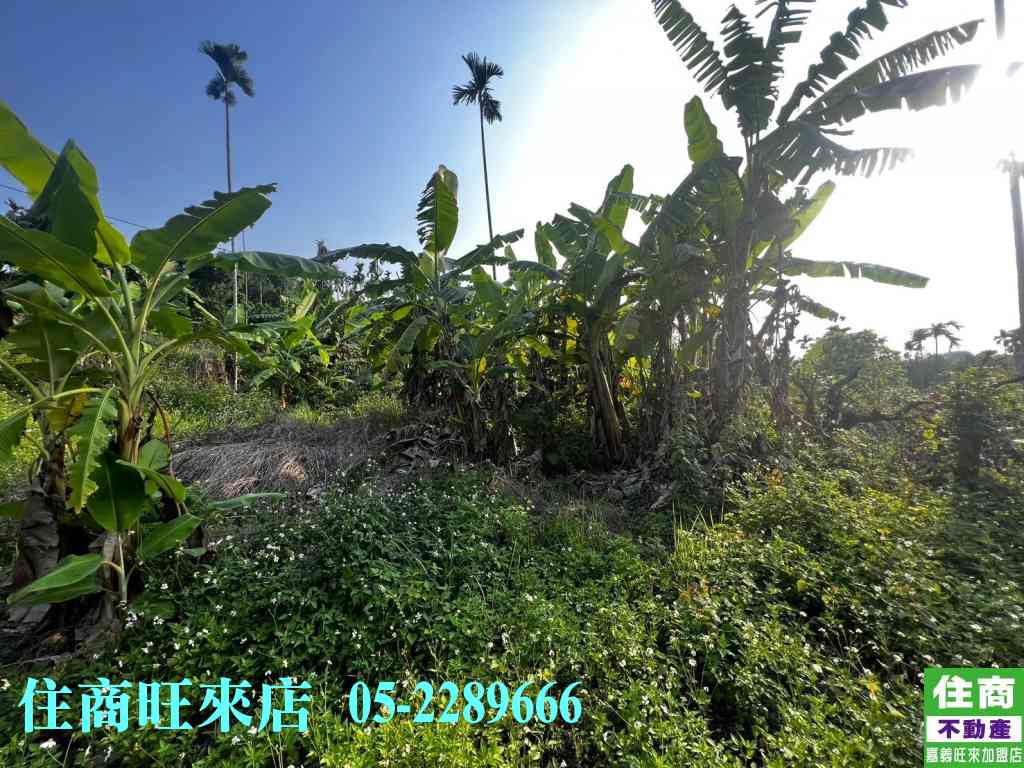 竹崎樟樹坪段農地視意圖