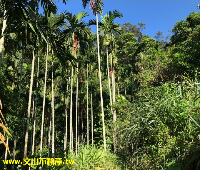 新店-青潭段員潭子坑小段視意圖